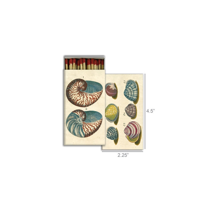 Allumettes - coquillages du 18e siècle