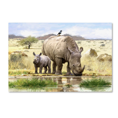 Armand 'Rhino' Print on Canvas