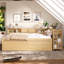 Structure de lit de jour avec couchette Haven, bureau intégré et tiroirs de rangement pour enfants-134483948