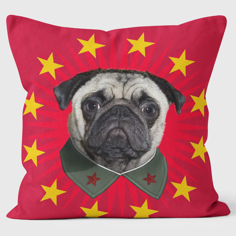 China Starburst - Pets Rock Cushion