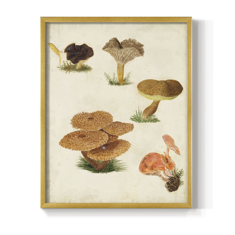 Reproduction encadrée de champignon V - Bois massif, H 10 po x l 8 po