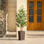 Adcock UV Protected Artificial Ficus Tree with Decorative Base, Faux Ficus Plant with Natural Trunk-1722551521-1722551526