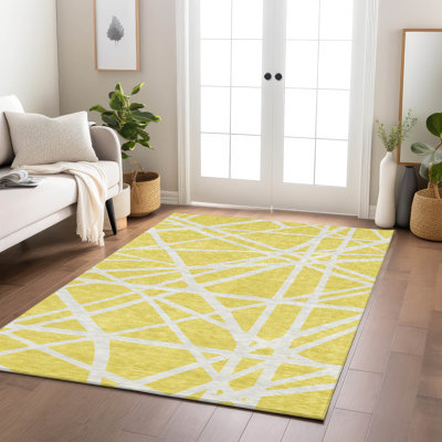 Tapis intérieur / extérieur lavable à la machine Chayden ACN1040