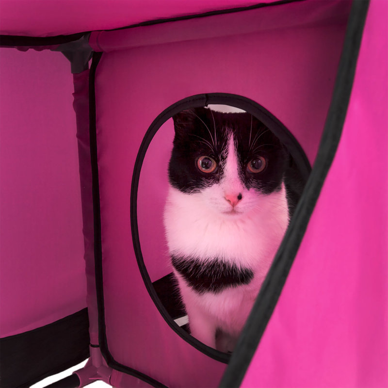Lit pour chat Novelty, Rose