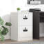 Storage Cabinet-131504593