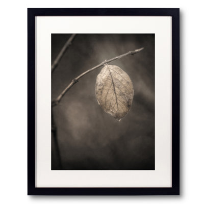 Holding On by Scott Norris
