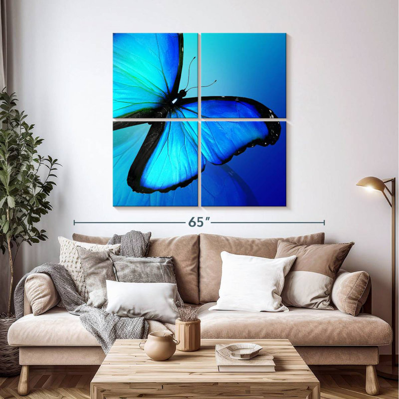 Brampt brillant Morpho papillon