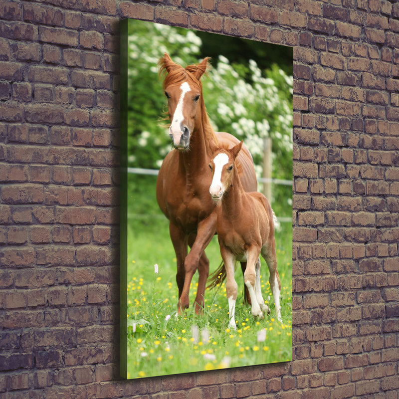 Mare And Foal - Wrapped Canvas Print