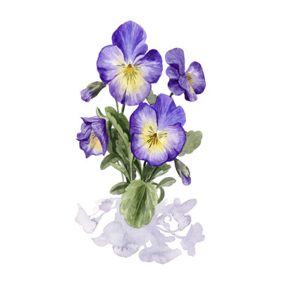 Viola Pansies I - Painting