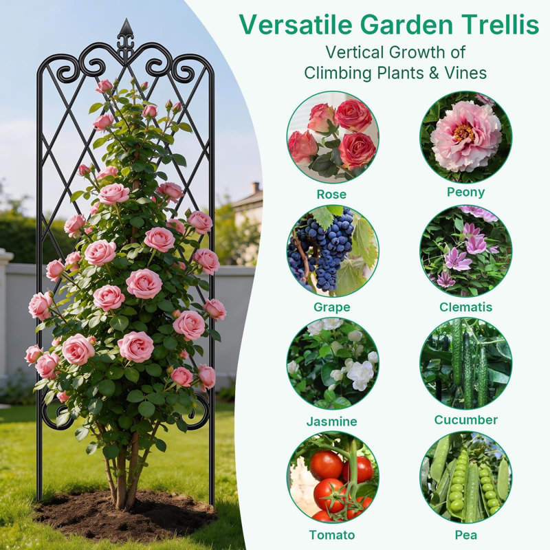 Treillis de jardin pour plantes grimpantes, 47 po x 16 po