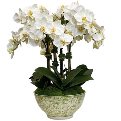 ORCHID IN BOWL