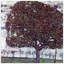 Gustav Klimt - Wrapped Canvas Painting-21212023