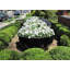 Handmade Pot Planter-14486284