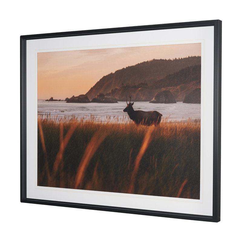 «Cannon Beach Elk» par Stefan et Audrey, reproduction de photo encadrée texturée sous verre, 51.8L x 1.6W x 41.8H, Elk 51''