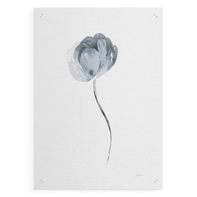 Tulip II -Canvas Print Only - NOT FRAMED