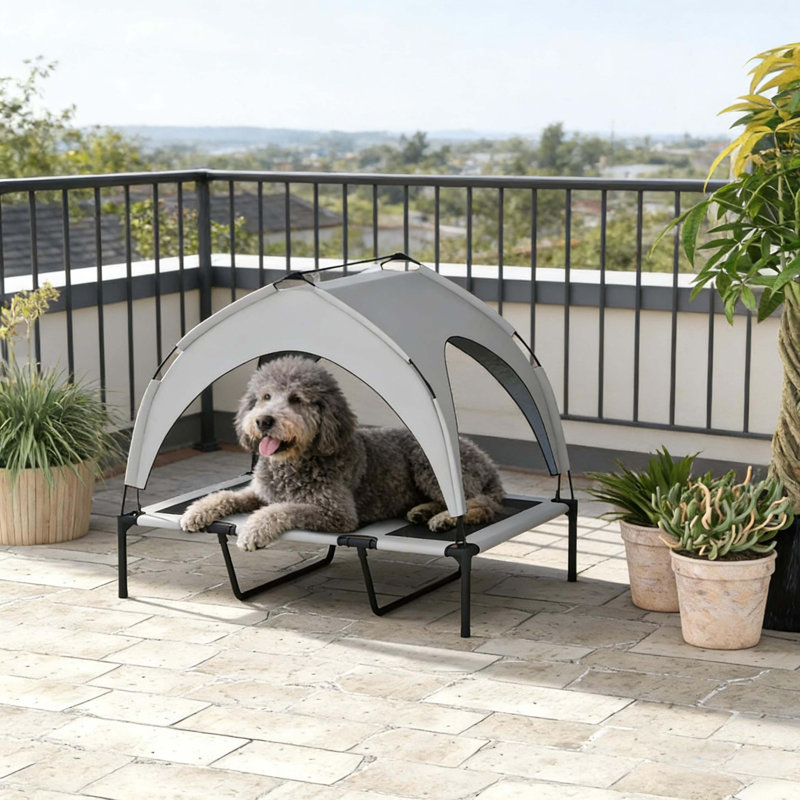 Lit surélevé pour animaux de compagnie, lit surélevé pour animaux de compagnie, lit pour animaux de compagnie