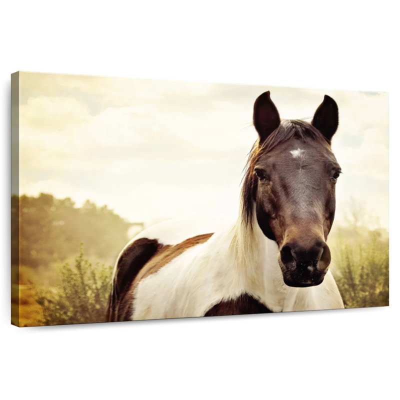 Brampt Horse Pasture, H 30 po x l 45 po