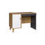 Raven Writing Desk-35775886