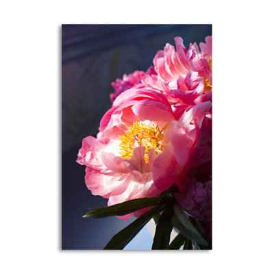 « rose floral floral », reproduction de photo