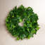 Faux Ivy Plant-855589349