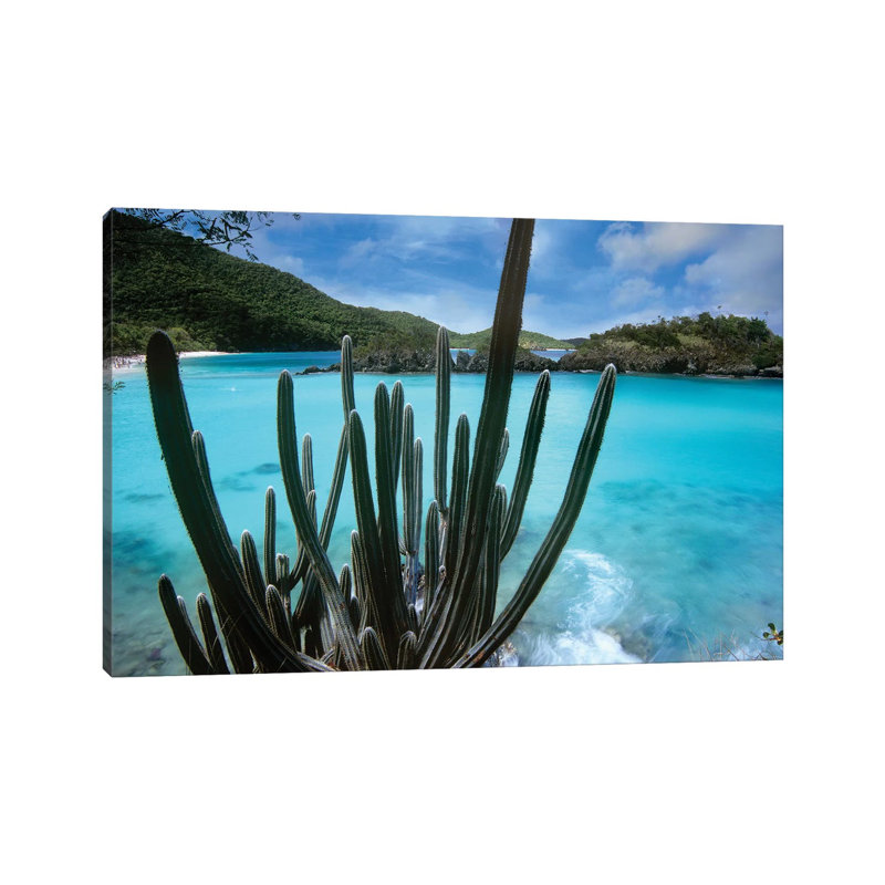 Cactus Growing Along Trunk Bay, Virgin Islands National Park, Virgin Islands by Tim Fitzharris - Wrapped Canvas Print