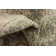 Mosely Oriental Indoor Rug