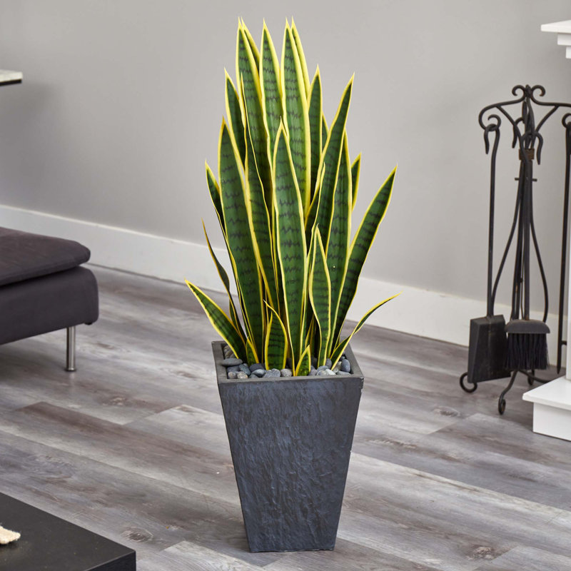 Plante de serpent artificiel en pot de fleurs sansevieria