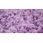 Angeline Indoor Rug-717740051