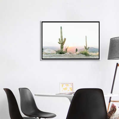 «Saguros in the Sun, Tuscon, Arizona», photographie