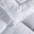 Cleves Wayfair Sleep All Season Down Alternative Comforter-286061944