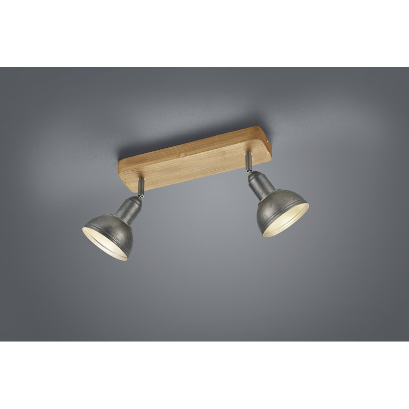 Garza 2-Light Ceiling Spotlight