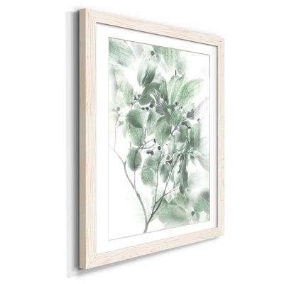 " Berry Blush I "