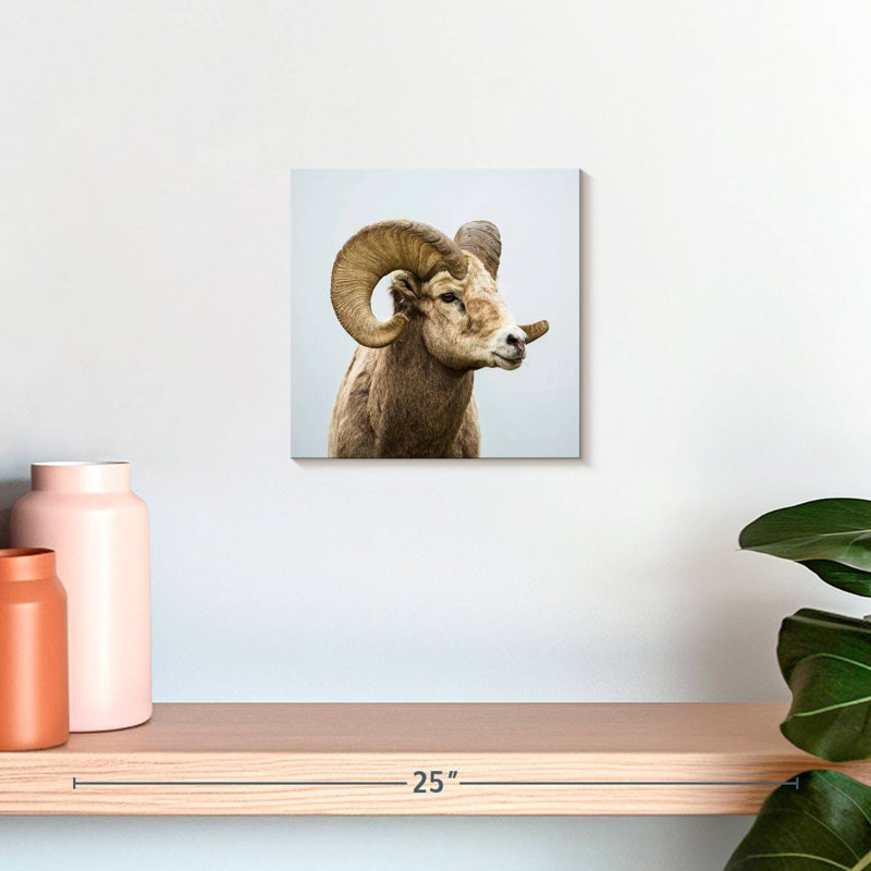 Crowle Lonely Bighorn Sheep, H 10 po x l 10 po