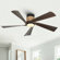 Teulon 52'' Ceiling Fan with LED Lights and Remote Control