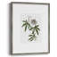 Tropical Botanical I, reproduction encadrée - bois massif 51188-266160252