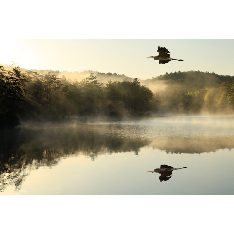 Great Blue Heron Flys Over Foggy Lake At Dawn by Sergey Krasnoshchokov - Wrapped Canvas Print, 51cm H x 76cm W x 3.8cm D