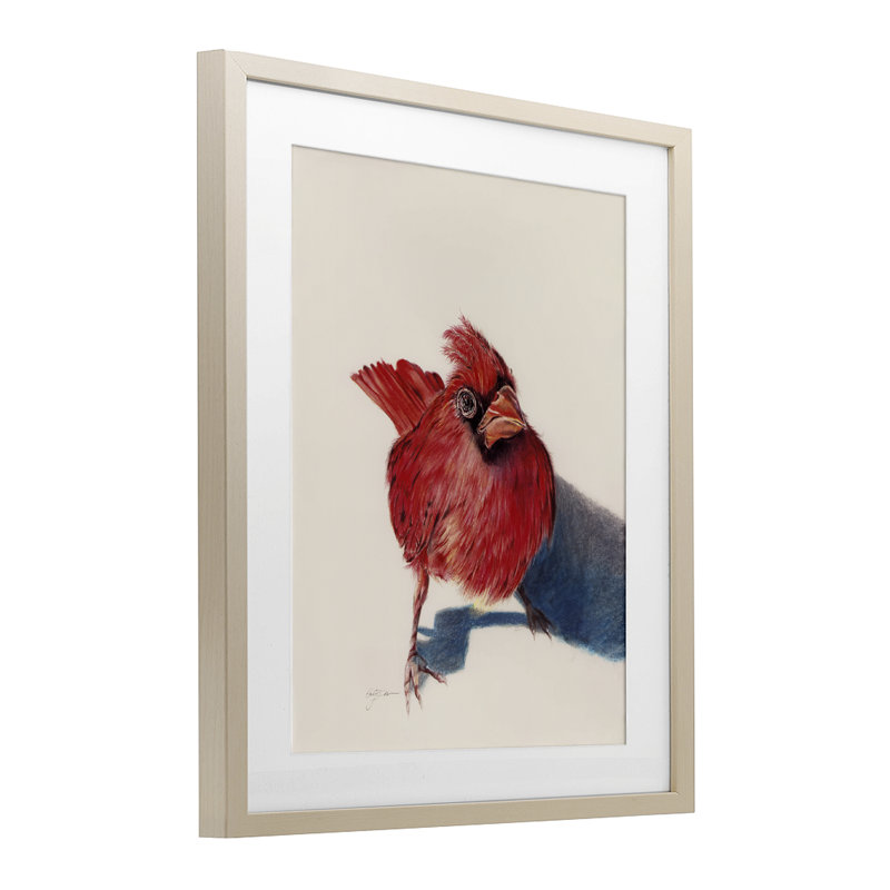 Oiseau cardinal debout encadré sous verre, conception par Cady, H 16 po x l 13 po, Cadre de récolte en pin