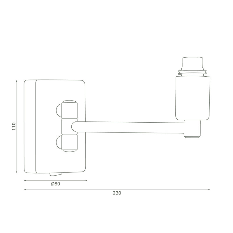 Citronelle Swing Arm Sconce, Polish Brass