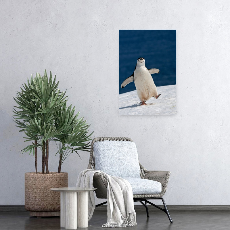 Happy Chinstrap Penguin Playful Abstract Contemporary Bird Penguin Nature Ocean Wall Art Print by Sergey Kokinskiy - Wrapped Canvas Print