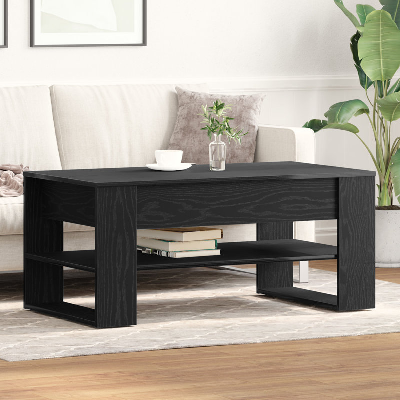 Coffee Table with Storage, Black Oak