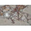 Table d'appoint luxueuse en marbre rose naturel luxueux - Accent géométrique élégant pour les espaces de vie modernes, compact et élégant-241780438