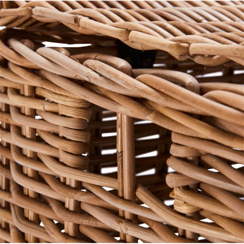 Arviso Wicker Trunk
