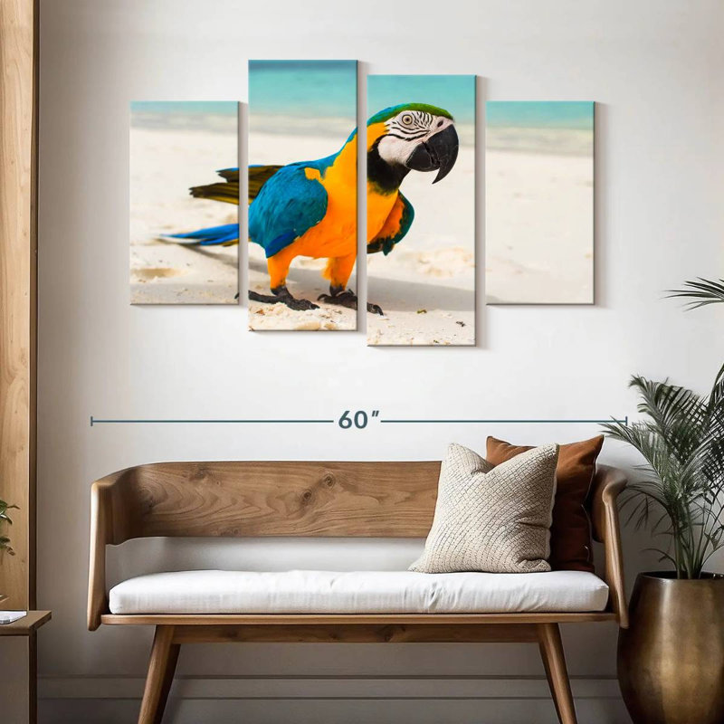 Brampt Macaw On White Sand, 32"H x 52"W