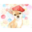 Napperon Chihuahua