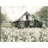 Dandelion Barn by Studio Arts Canvas Art Print-646269169-646269165