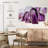 Alvord Purple Amethyst