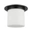 Mineral 11-in Brass Flush Mount-204888996-204888997