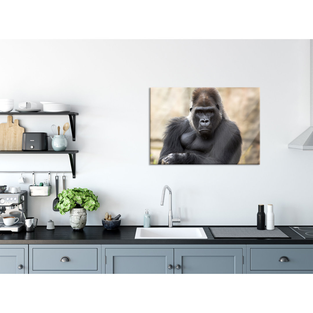 Glasbild Wandbild Auf Echtglas Gelangweilter Gorilla Inkl. Aufhängung Und Abstandshalter LF9850