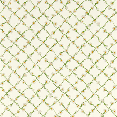 Daisy Trellis Wallpaper