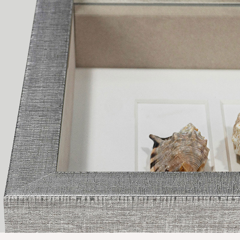 2 Piece Sea Shell Shadow Box Wall Décor Set